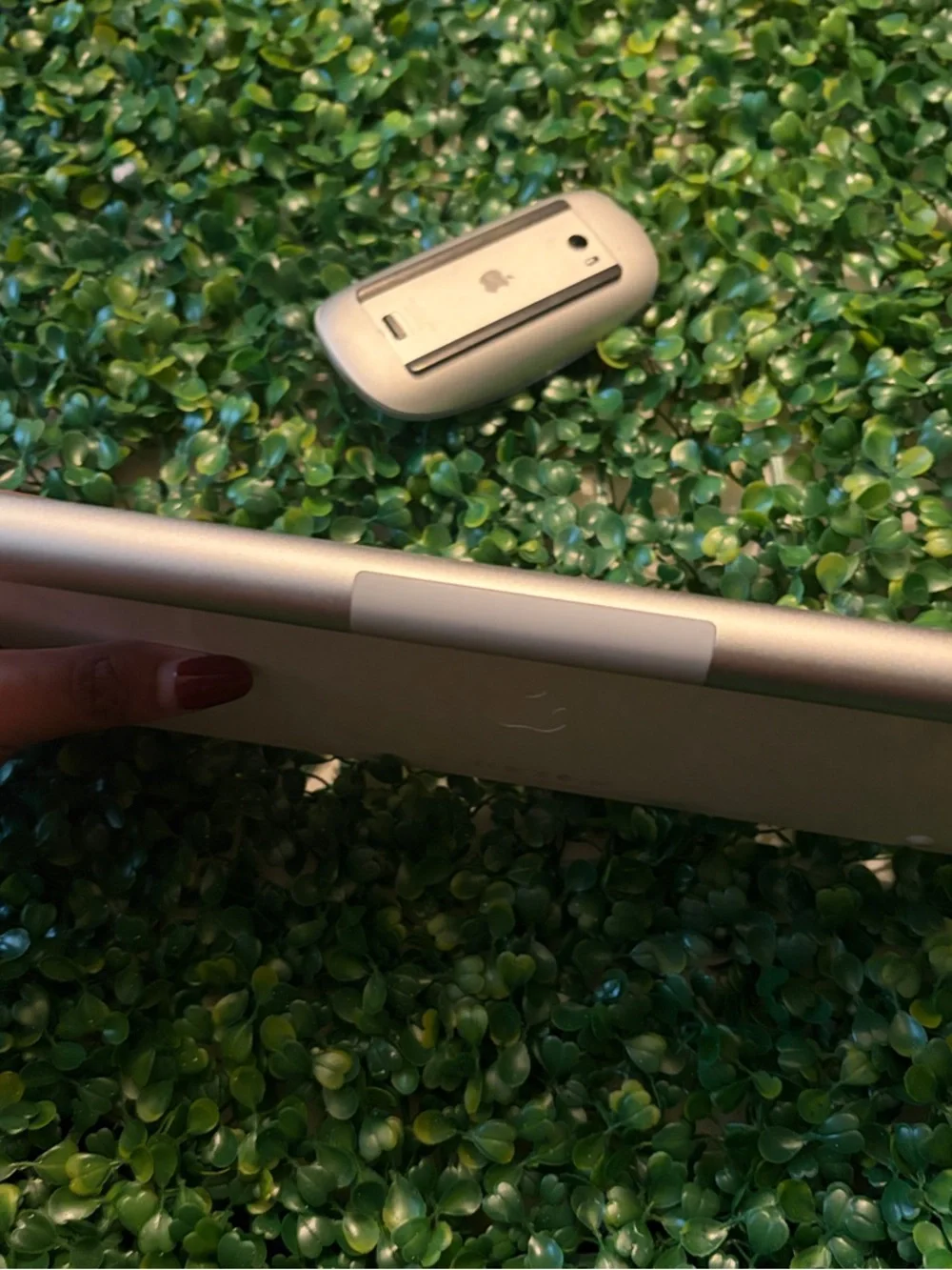 Apple Magic Mouse and Wireless Keyboard